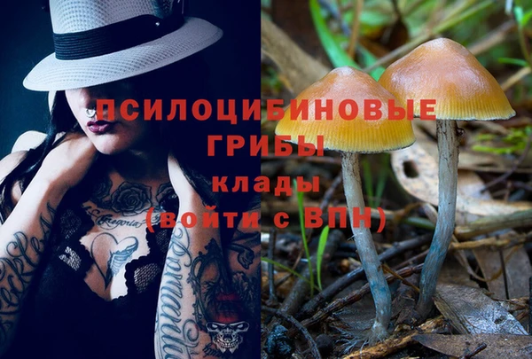 бошки Володарск