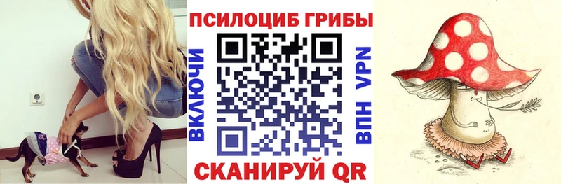 Псилоцибиновые грибы GOLDEN TEACHER  блэк спрут зеркало  Ишим 