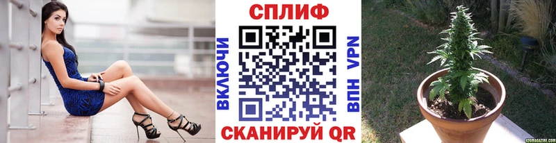 Марихуана гибрид сколько стоит Ишим
